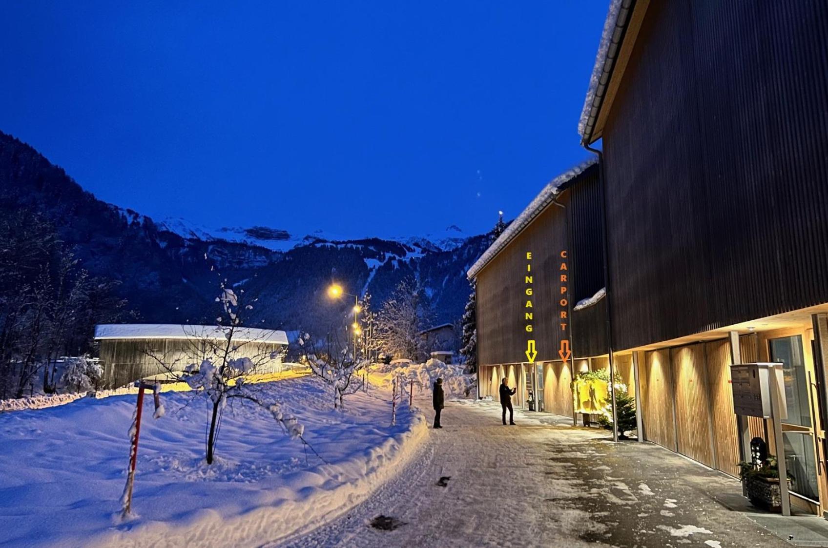 Apartment Eiler - Mellau Exterior photo