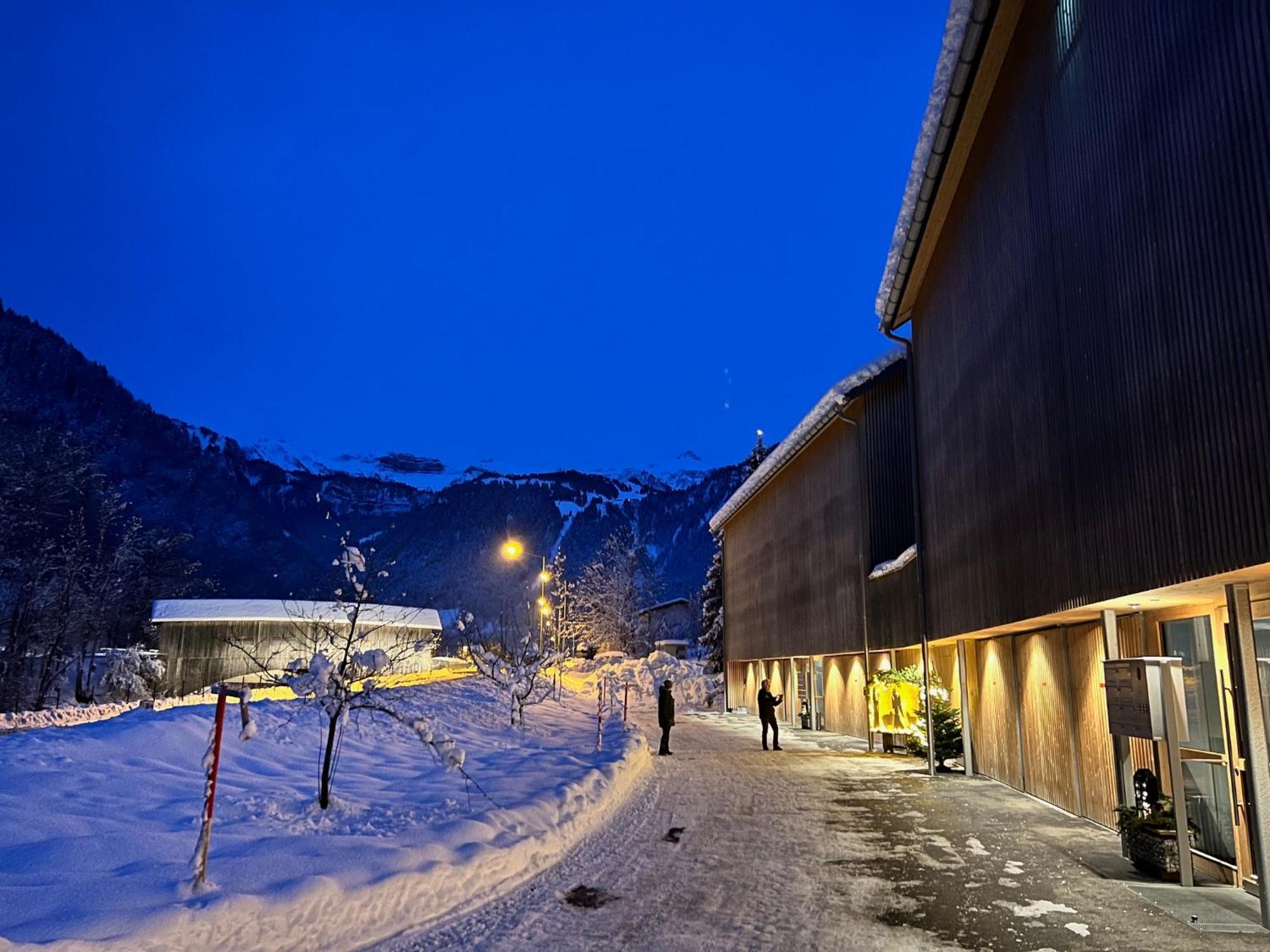 Apartment Eiler - Mellau Exterior photo