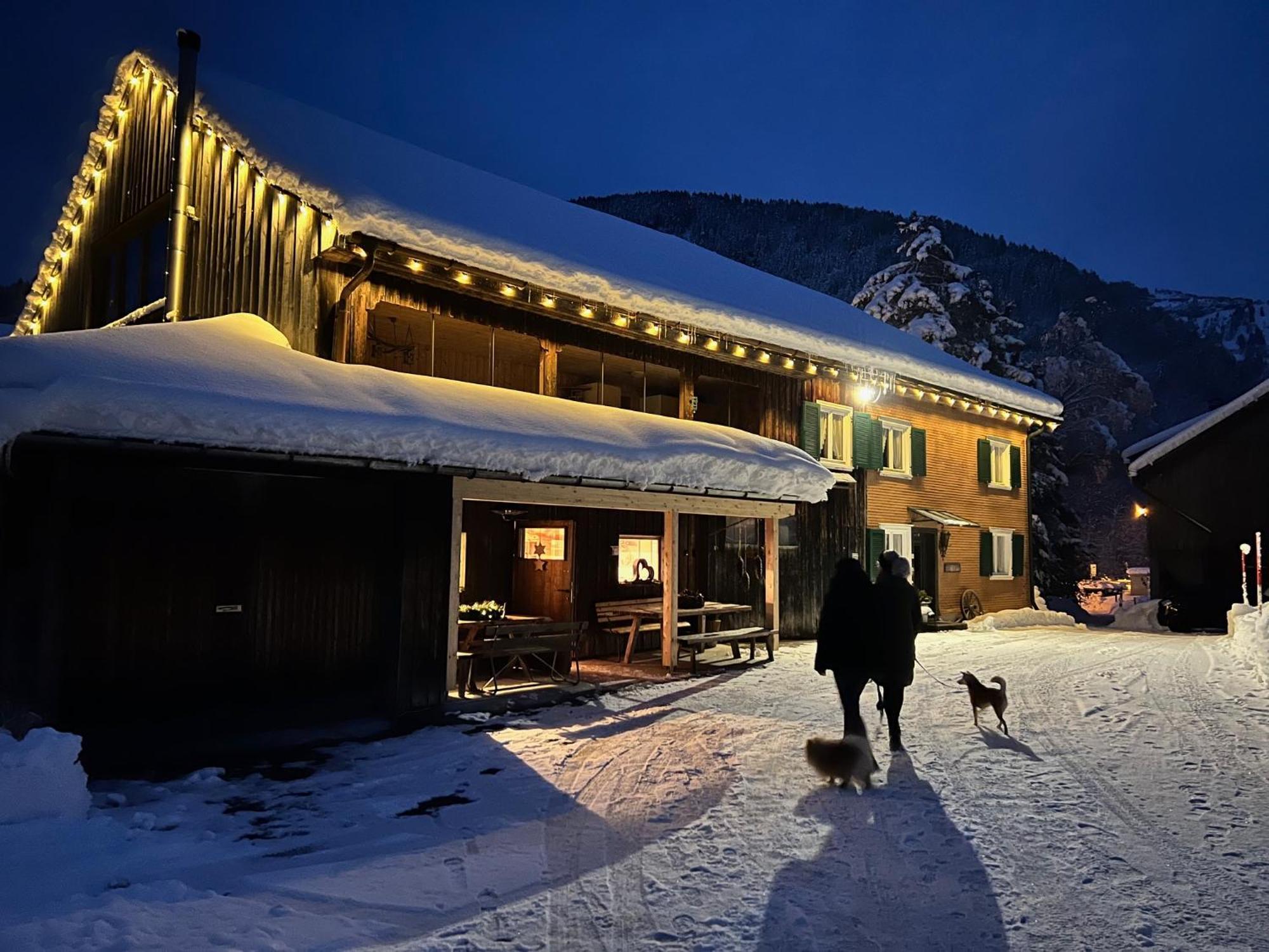 Apartment Eiler - Mellau Exterior photo